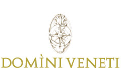 Domini Veneti
